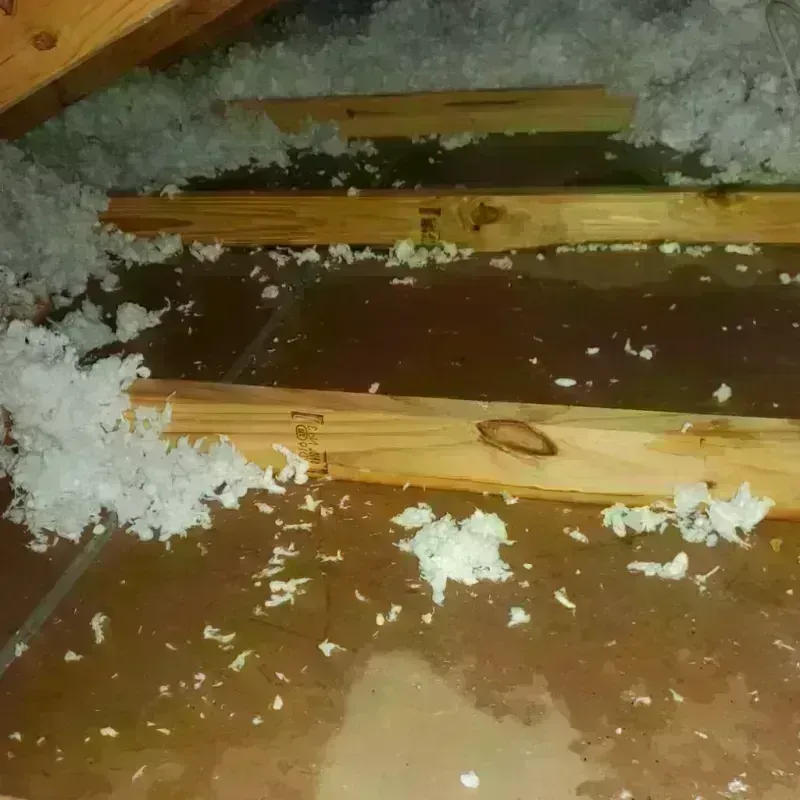 Attic Water Damage in Hardin County, TN